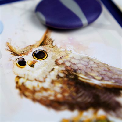 Equinox (Green) Art.jpg