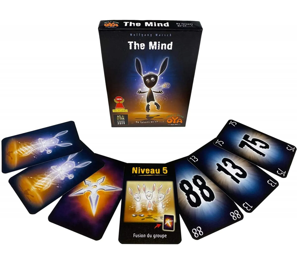 the mind photo vue d'ensemble.png