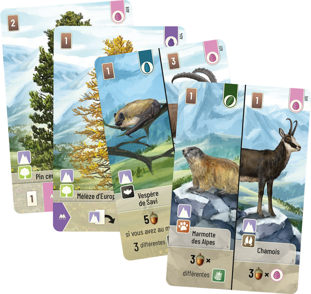 Foret Mixte Ext - Alpine Cartes.png