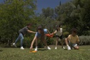 Jungle Speed Giant