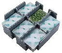 Wingspan Insert petites cartes.webp