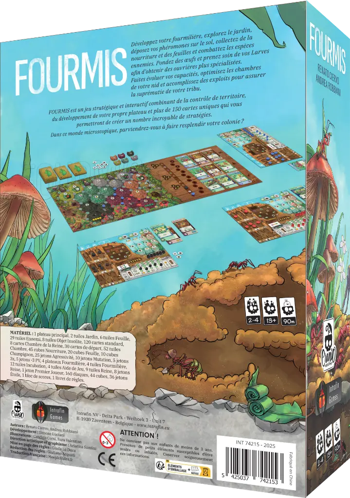 Fourmis Verso.webp