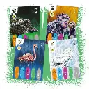 Coexist Cartes.webp