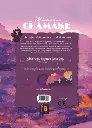 Memoire d'une chamane Verso.webp