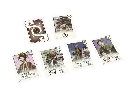 Naishi Ext Legendes et Voyageurs Cartes.webp