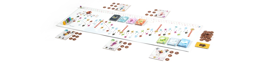 Tokaido - vue d'ensemble du jeu.jpg