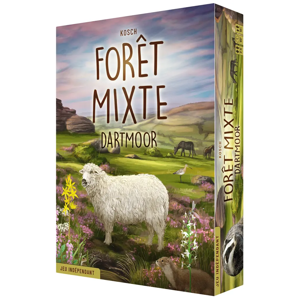 Forêt Mixte - Dartmoor 