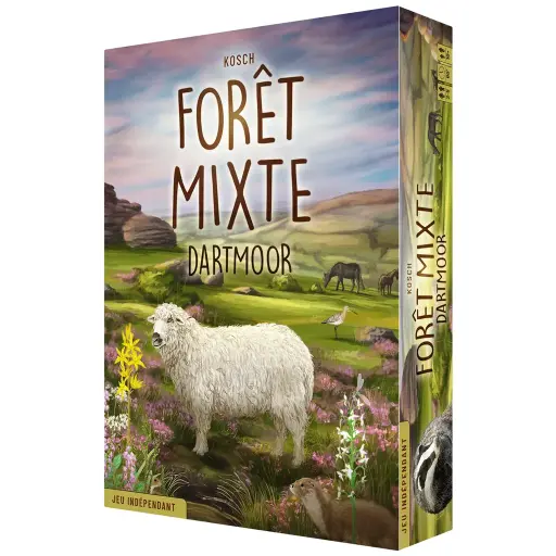 Forêt Mixte - Dartmoor 