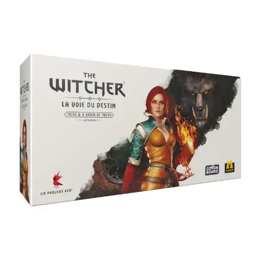 The Witcher - La voie du destin - Ext. Triss & A grain of Truth